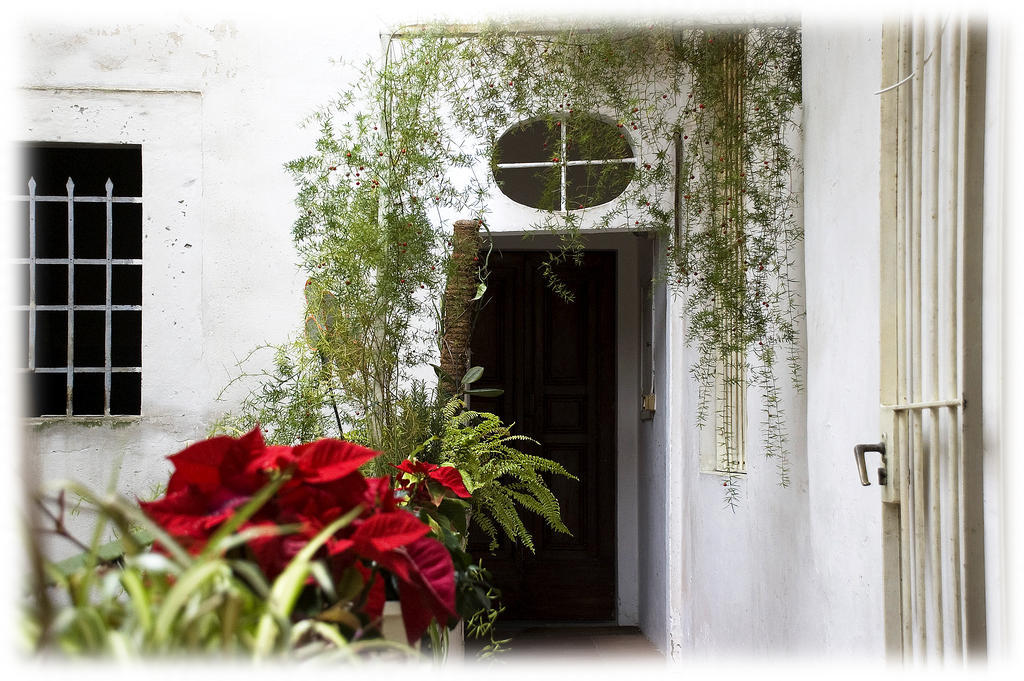 Florence Rental Exterior foto